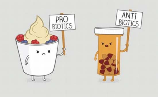 пробиотики и антибиотики