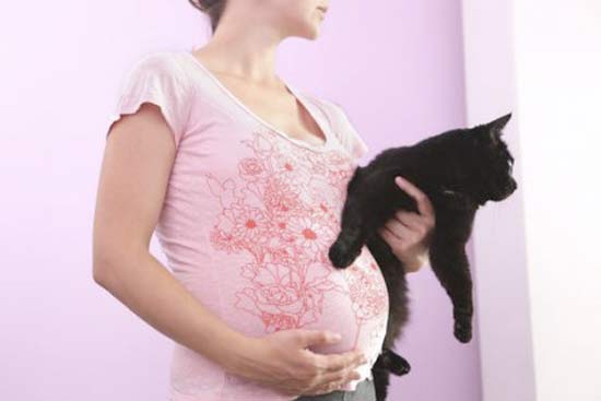 токсоплазмоз при беременности